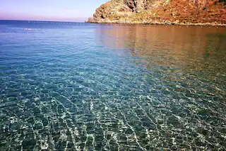 Angonia